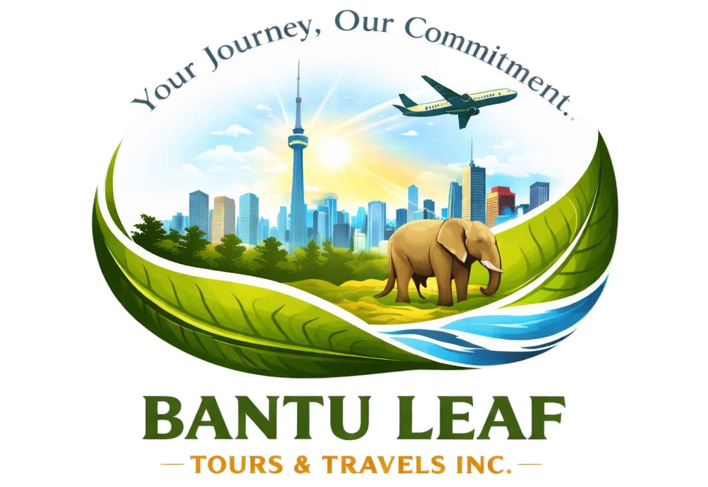 logo-image